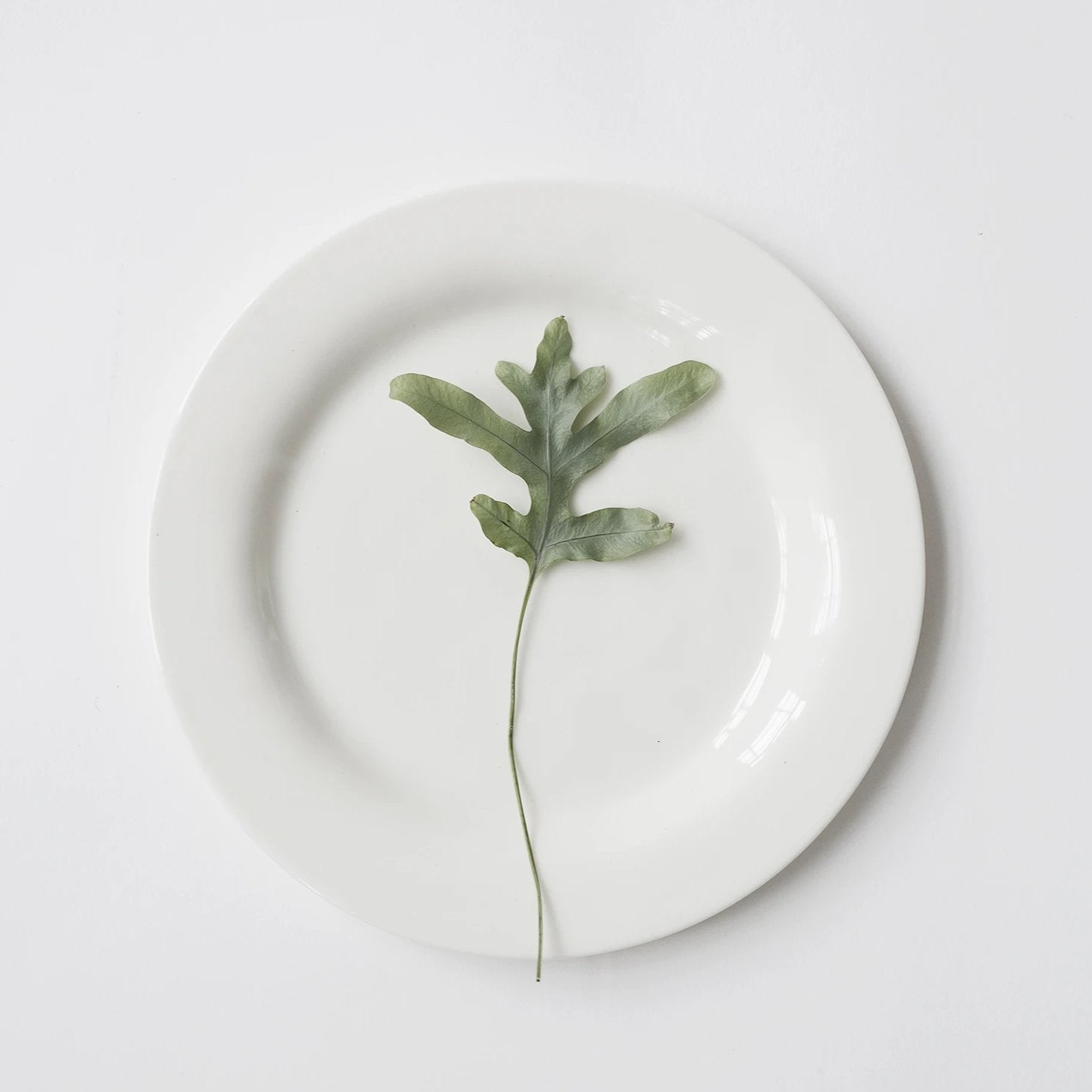 Plate WHITE - Kajsa Cramer